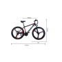 E-Bike Hiwheel-Foston 350w