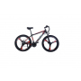 E-Bike Hiwheel-Foston 350w